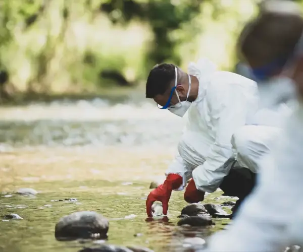 Planting the Seeds for Change